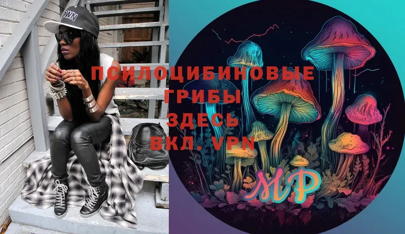 Галлюциногенные грибы Psilocybe  Луза 